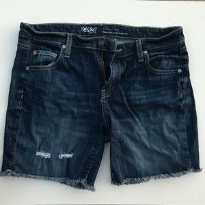 Massimo Boyfriend Jean Short